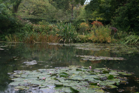 c0156679_21582325.jpg