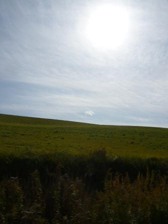 c0175679_1972527.jpg