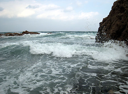 b0049180_20172346.jpg