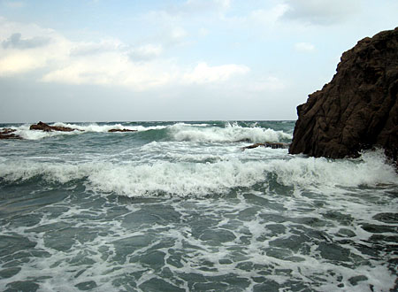 b0049180_20173765.jpg