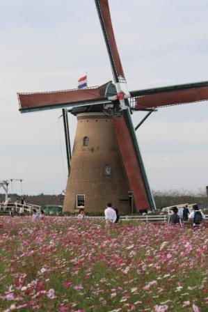 b0139380_23264580.jpg