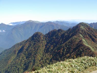 e0012580_1910992.jpg
