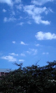 c0127581_1841337.jpg