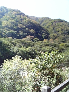 c0096582_16431037.jpg