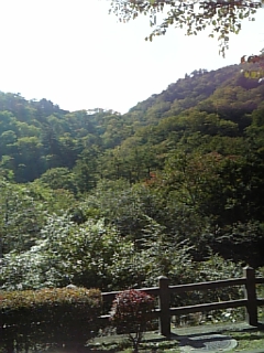 c0096582_16431097.jpg
