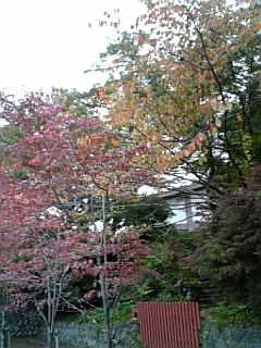 c0096582_16431110.jpg