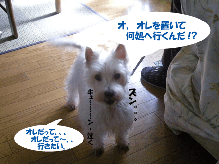 e0066883_22133990.gif