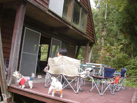 e0066883_22273127.gif