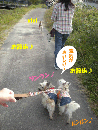 e0066883_22334045.gif