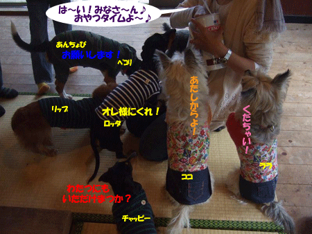 e0066883_2243268.gif