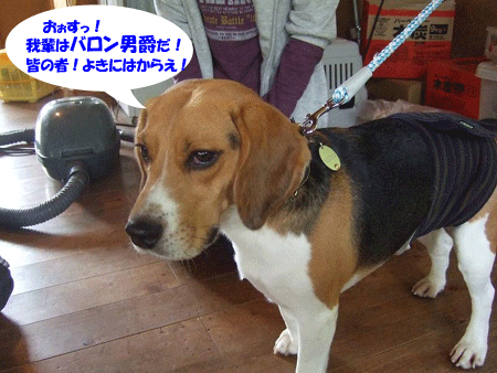 e0066883_22523571.gif
