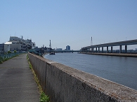 c0105785_8264861.jpg