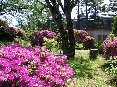 c0105785_9292584.jpg