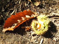 c0002089_22472292.jpg