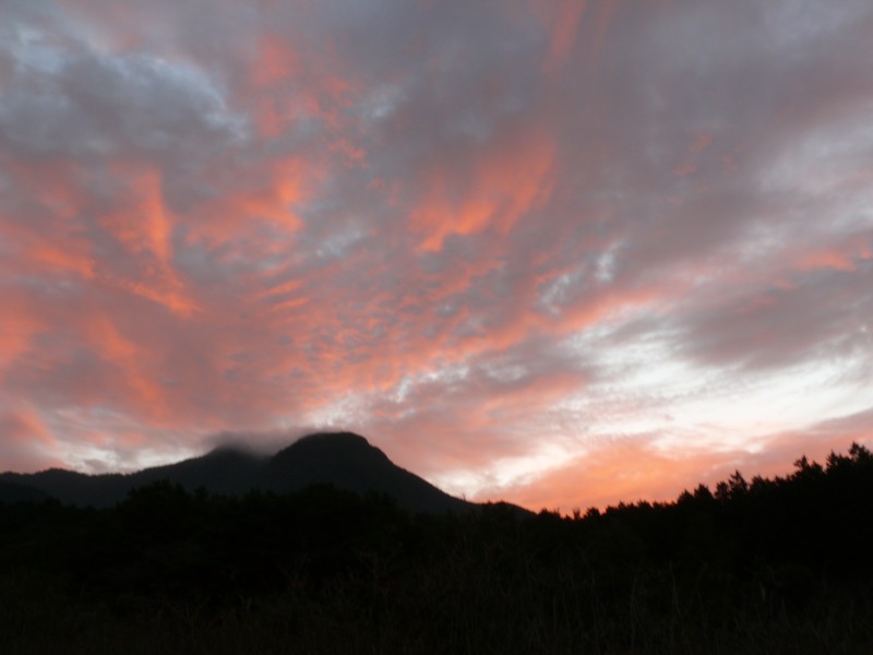 b0146391_15475828.jpg