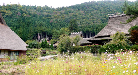 a0079292_13433632.jpg