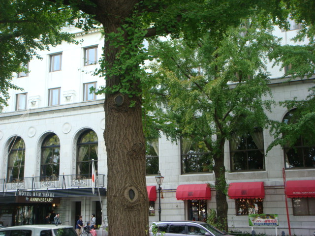 f0137694_7453822.jpg