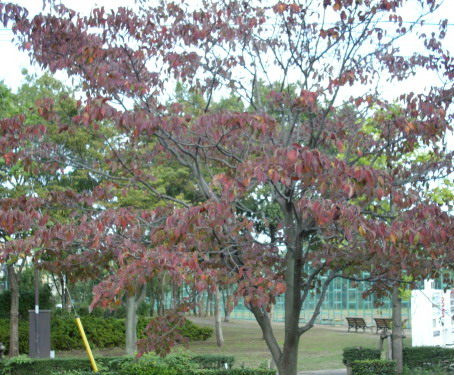 c0138198_22275769.jpg