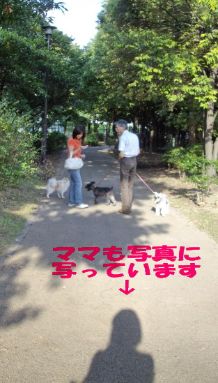c0138198_2242274.jpg