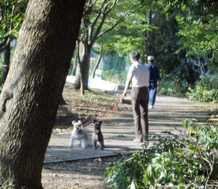 c0138198_22431043.jpg