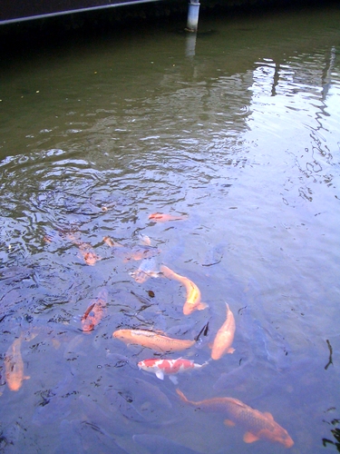 d0069498_1738254.jpg