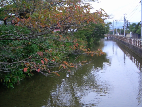 d0069498_17391214.jpg