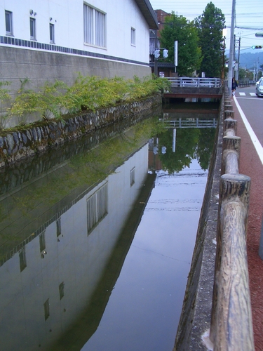 d0069498_17395433.jpg