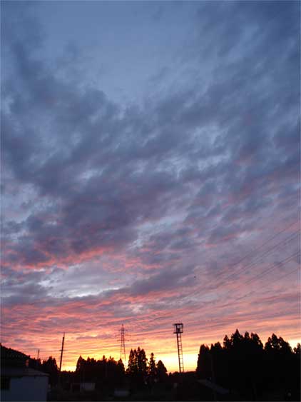 a0061599_20454674.jpg