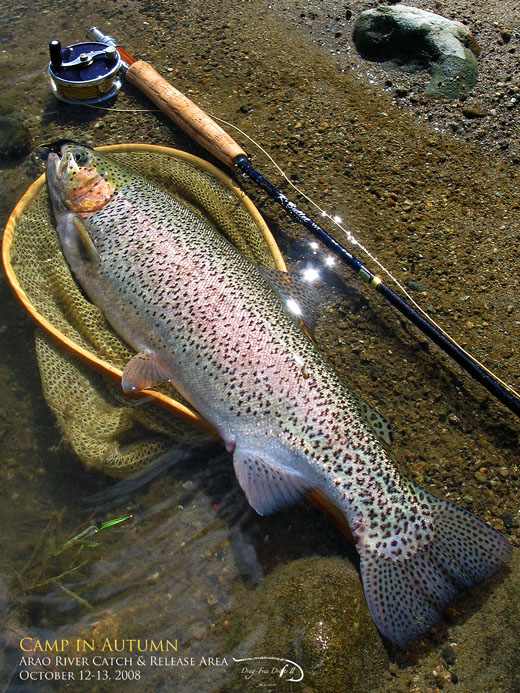 f0085599_2333554.jpg