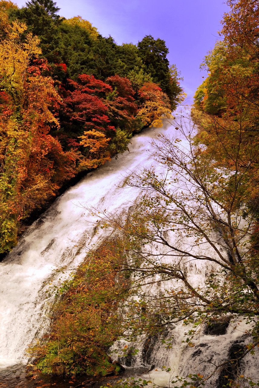 f0178900_21495552.jpg