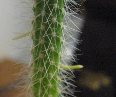 a0094201_9233165.jpg