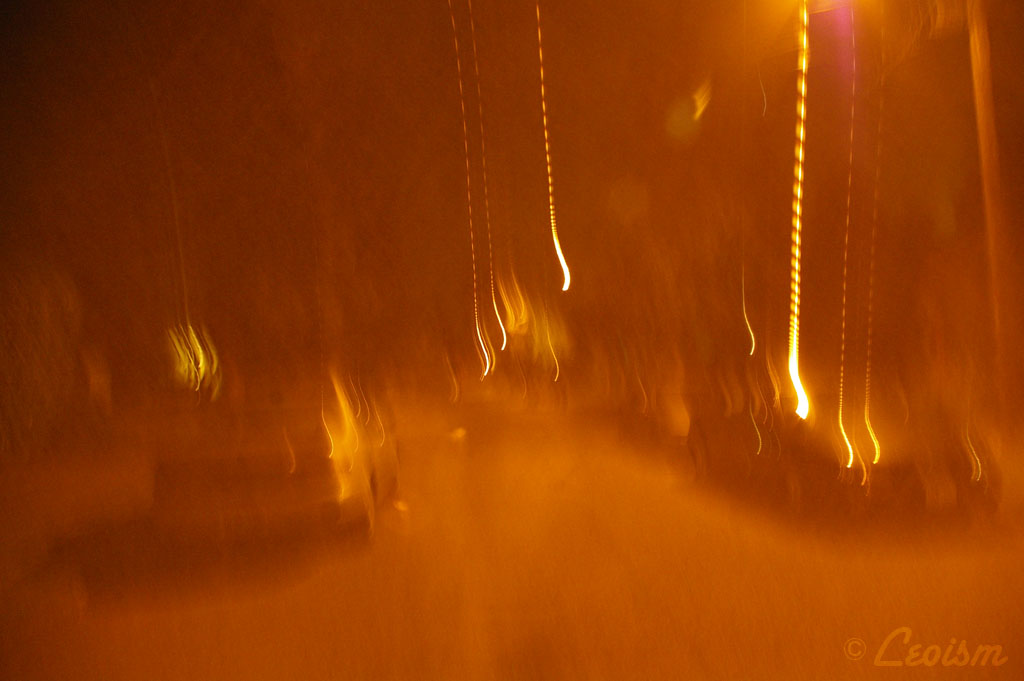 c0080101_692796.jpg