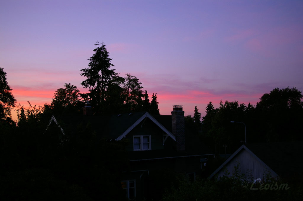 c0080101_94592.jpg