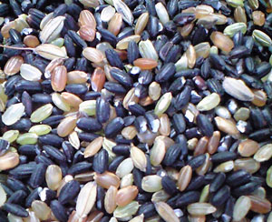 f0135908_713782.jpg