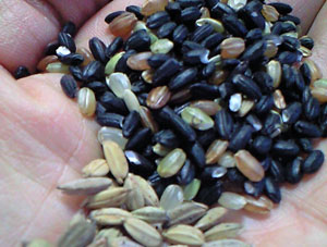 f0135908_775770.jpg