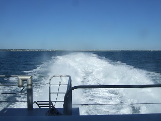 e0124011_8262052.jpg