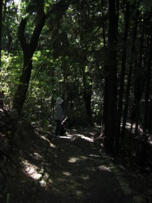 e0059512_14242100.jpg