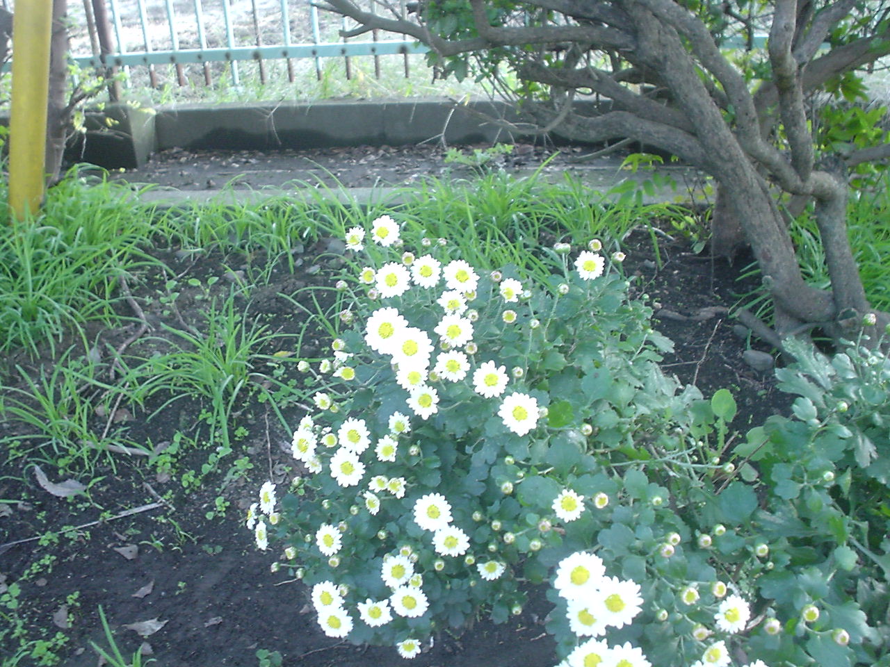 c0150520_22105375.jpg