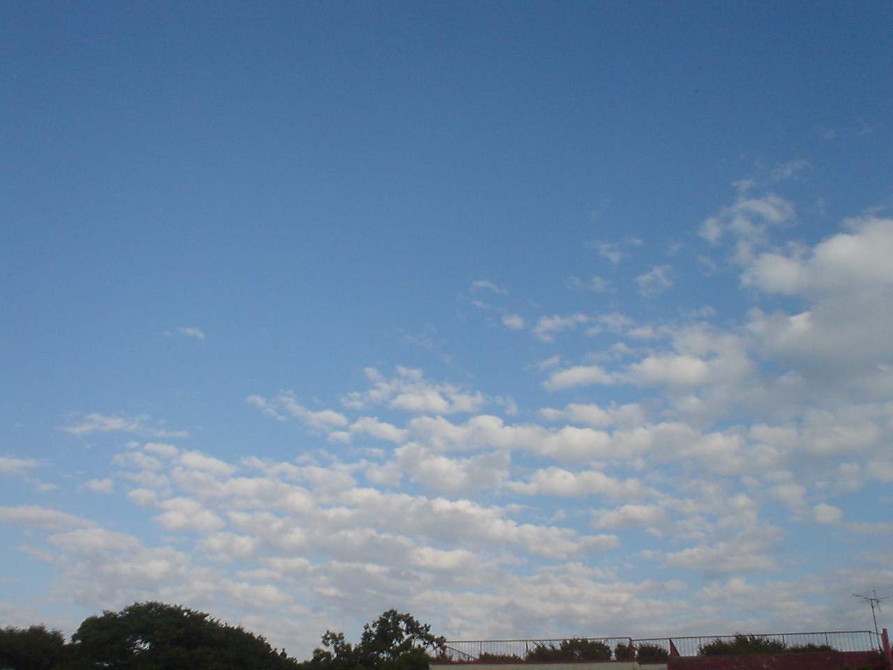 c0150520_2210862.jpg