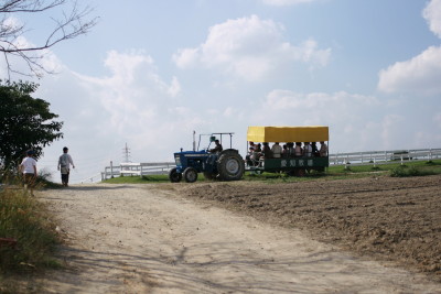 f0097620_2392634.jpg