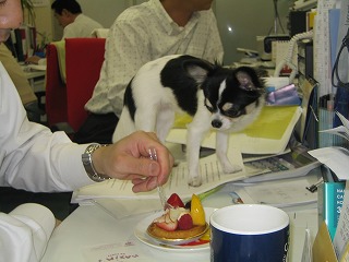 f0149420_18344049.jpg