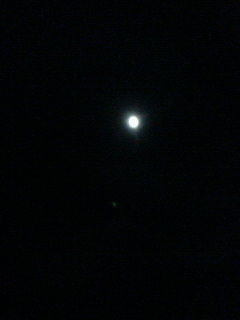 c0092027_1838156.jpg