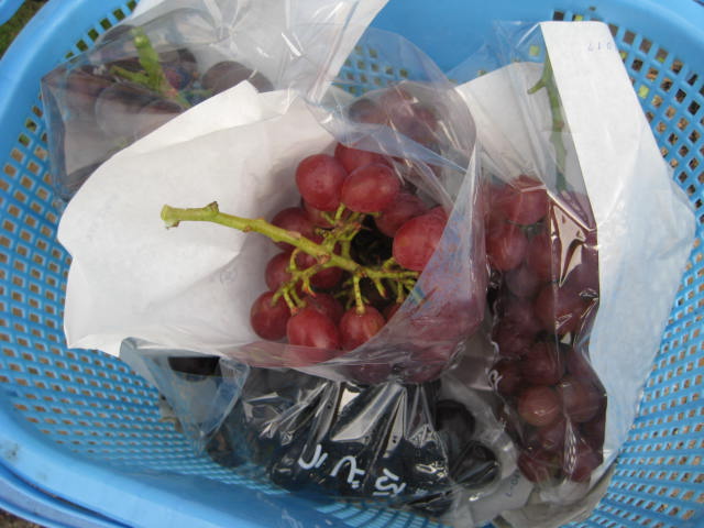 d0064329_14325715.jpg
