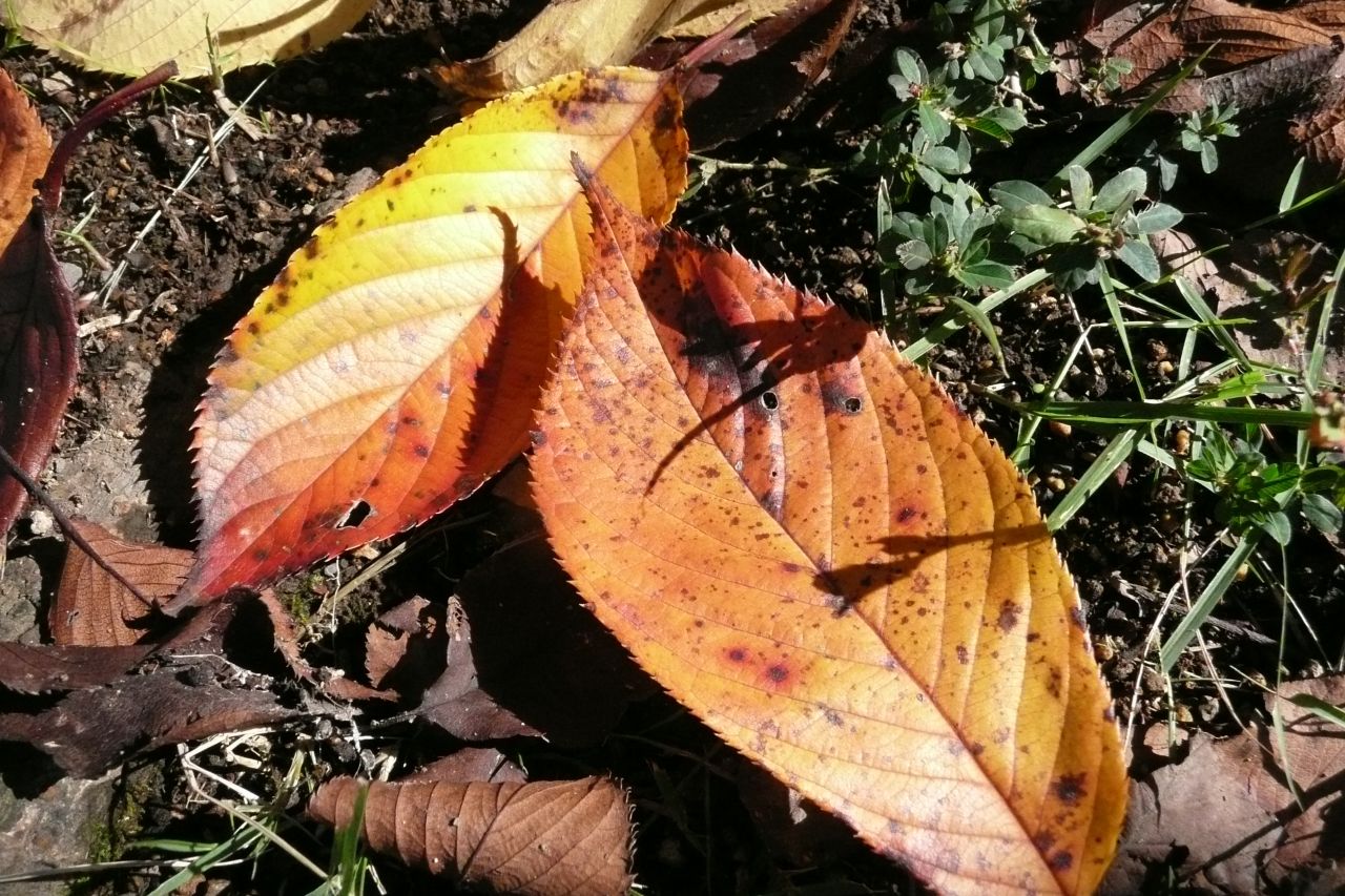 e0033229_2011361.jpg