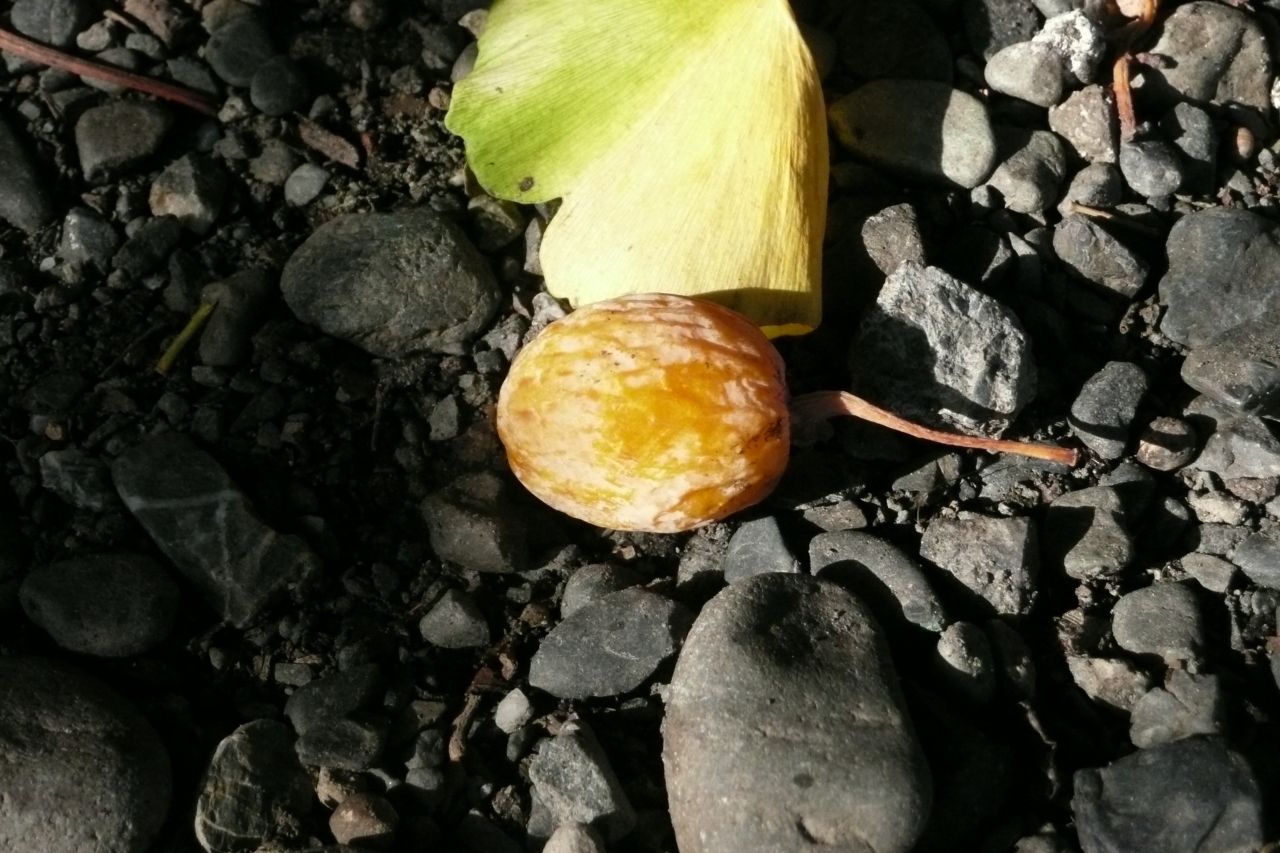 e0033229_20143673.jpg