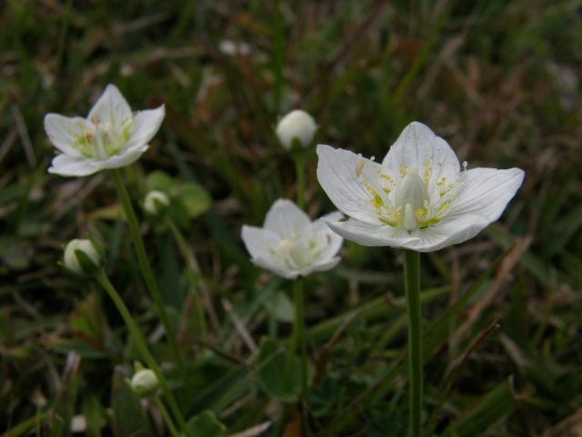 e0145033_1230457.jpg