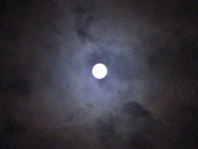 e0081334_23443725.jpg