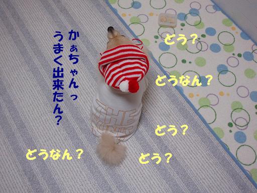 c0179136_19371888.jpg