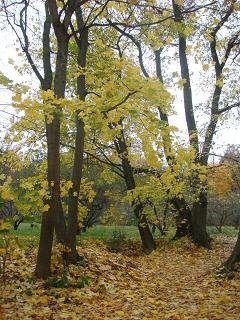 b0094239_2264810.jpg