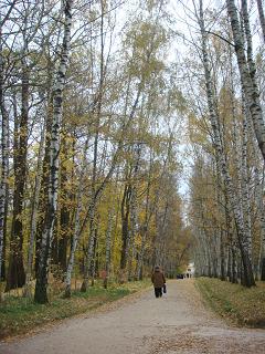 b0094239_228320.jpg